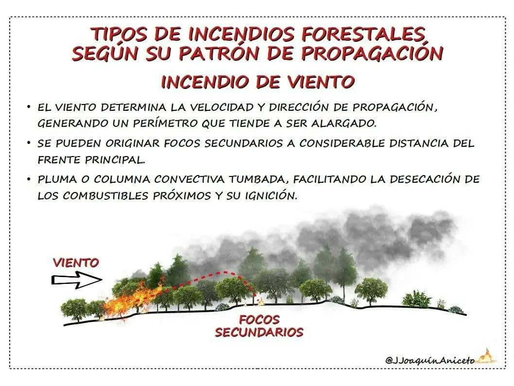 resumen de los incendios forestales - Cómo son los incendios forestales