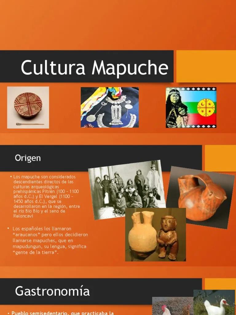 cultura de los mapuches resumen - Cuál es el legado cultural de los mapuches