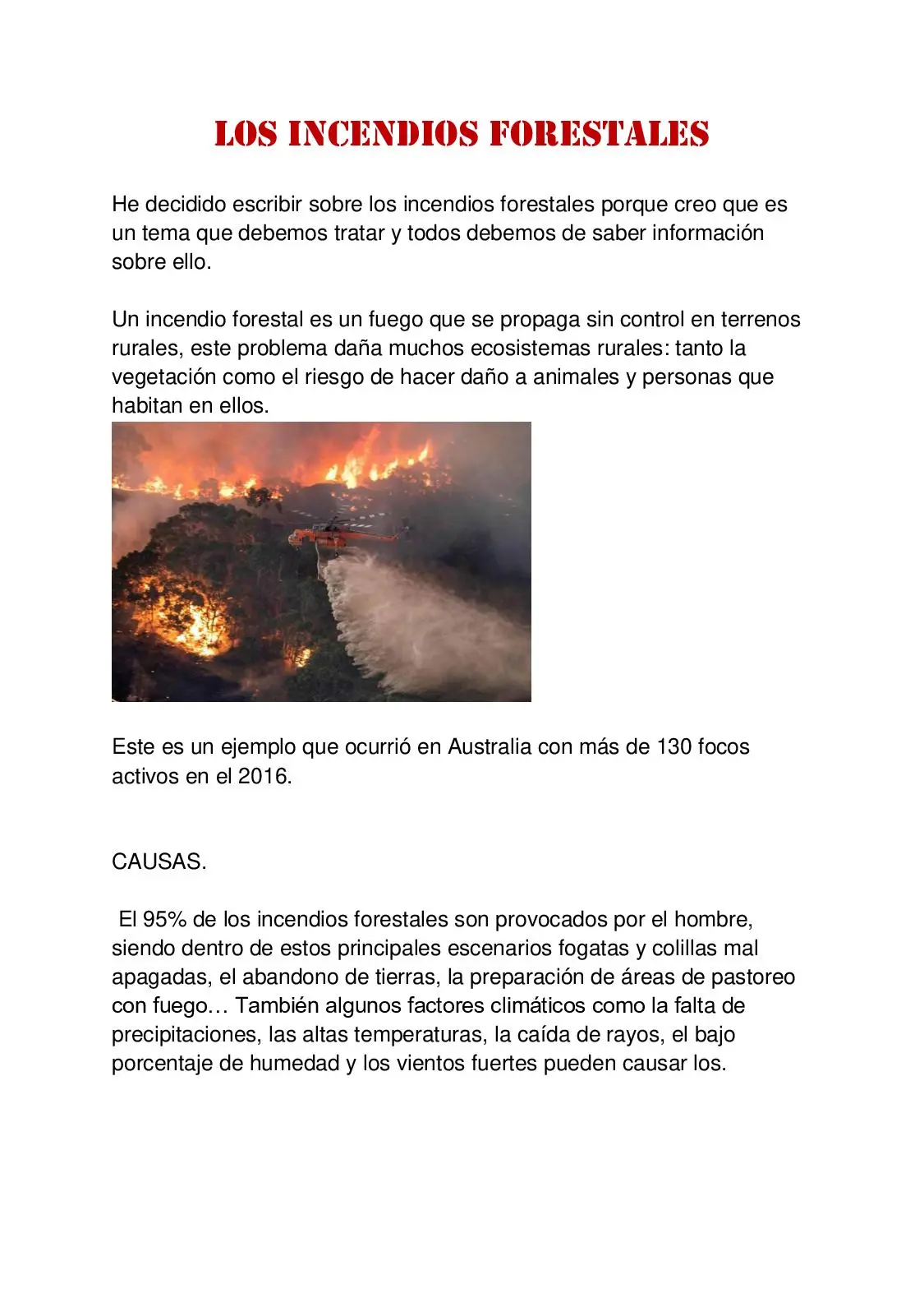resumen de los incendios forestales - Cuál es la causa de un incendio forestal