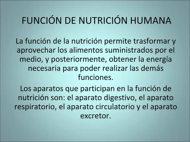 funcion de nutricion resumen - Cuál es la función de la nutrición