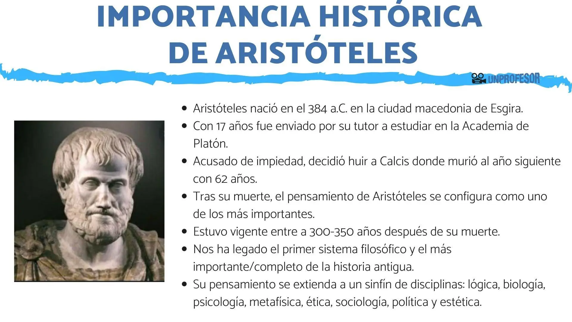 biografía resumida de aristóteles - Cuál es la idea principal de Aristóteles