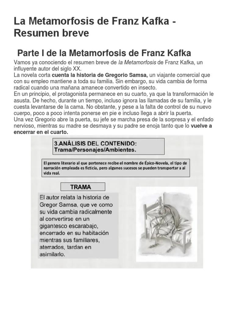 resumen de la metamorfosis de franz kafka - Cuál es la idea principal de La metamorfosis