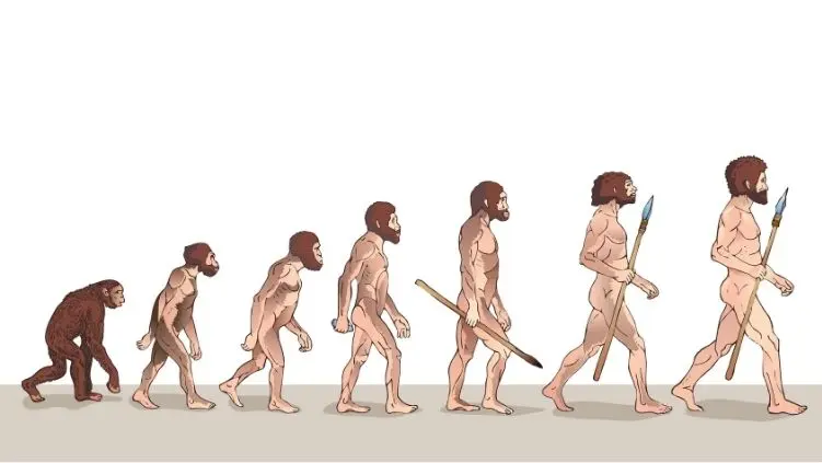 teoria de darwin evolucion del hombre resumen - Cuáles son las teorías de la evolución de Darwin