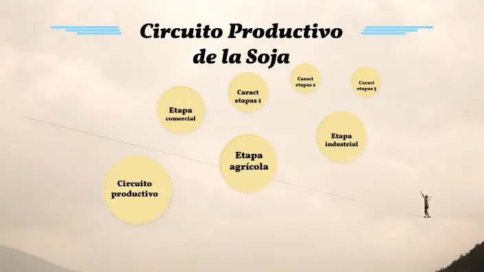 resumen del circuito productivo de la soja - Cuáles son los eslabones de la soja