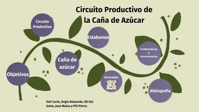 circuito productivo de la caña de azucar resumido - Cuáles son los eslabones del circuito productivo de la caña de azúcar