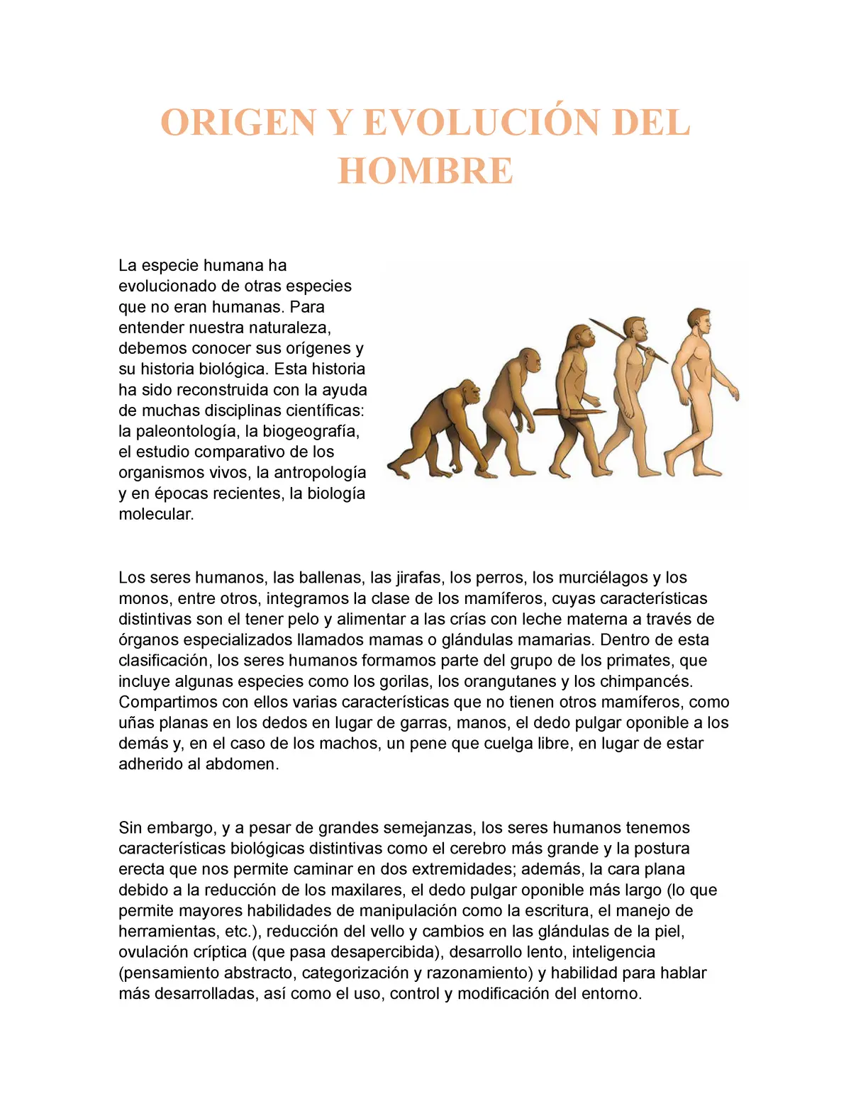 evolucion del ser humano resumen - Cuántas evoluciones tiene el ser humano