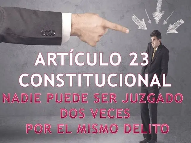 articulo 23 resumido - Qué dice el artículo 24 de la Constitución