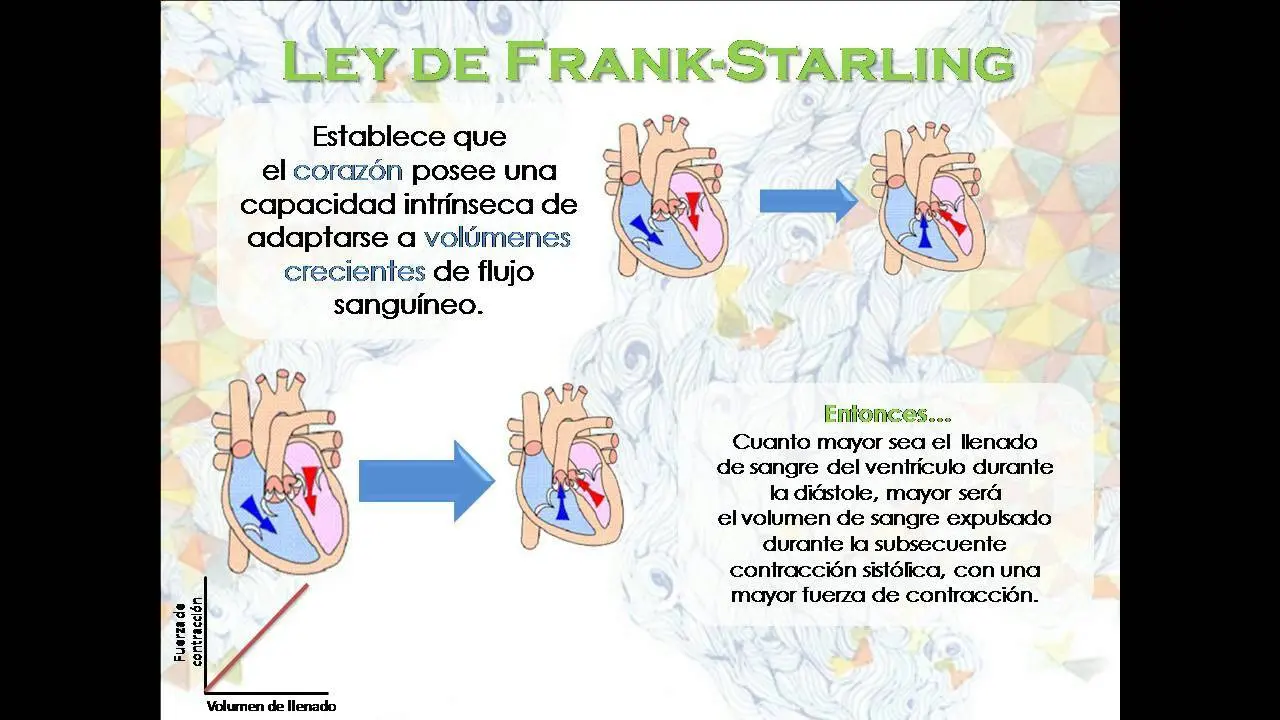 ley de frank starling resumen - Qué dice la ley de Frank-Starling