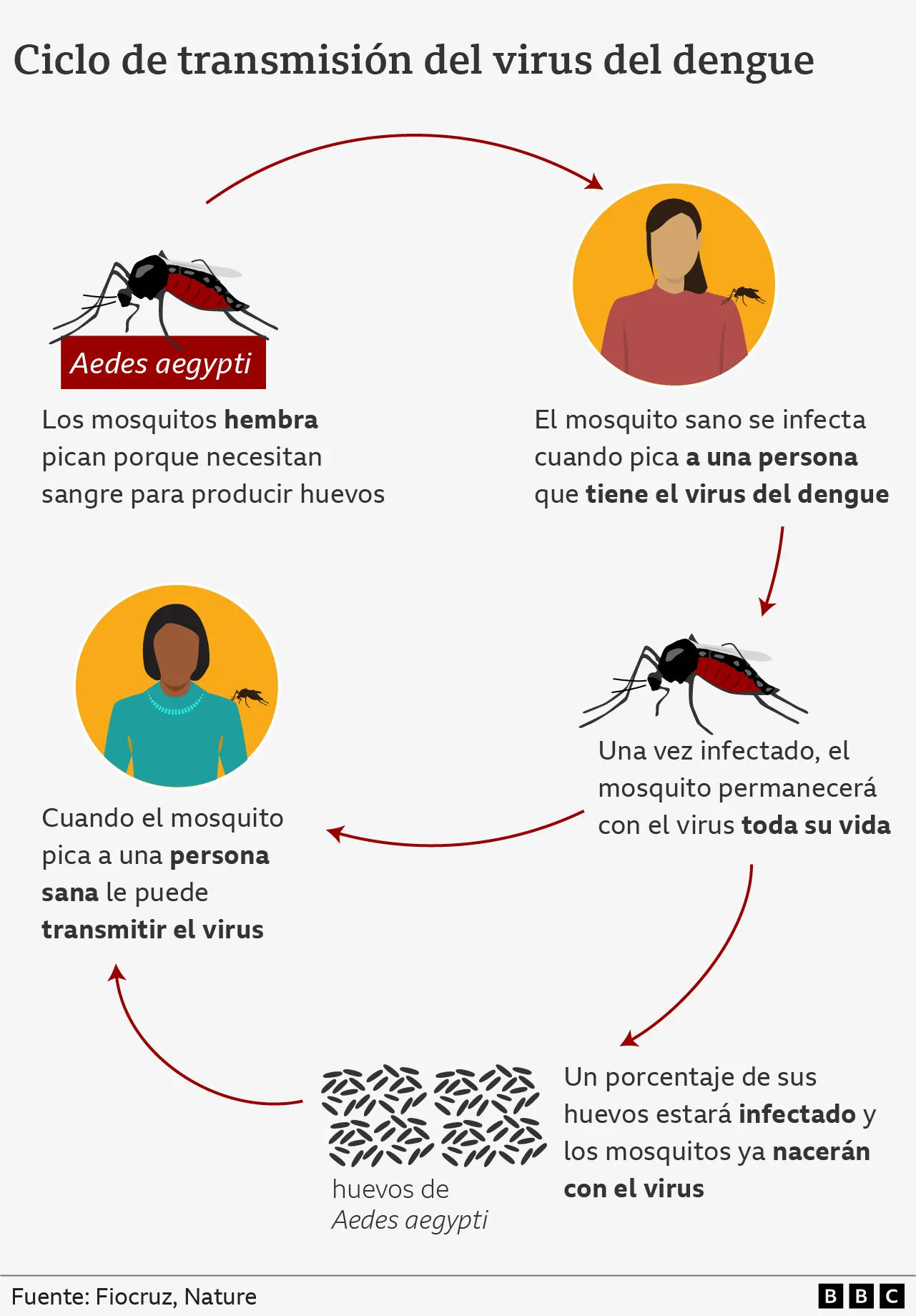 que es el dengue resumen - Qué es el dengue resumen corto