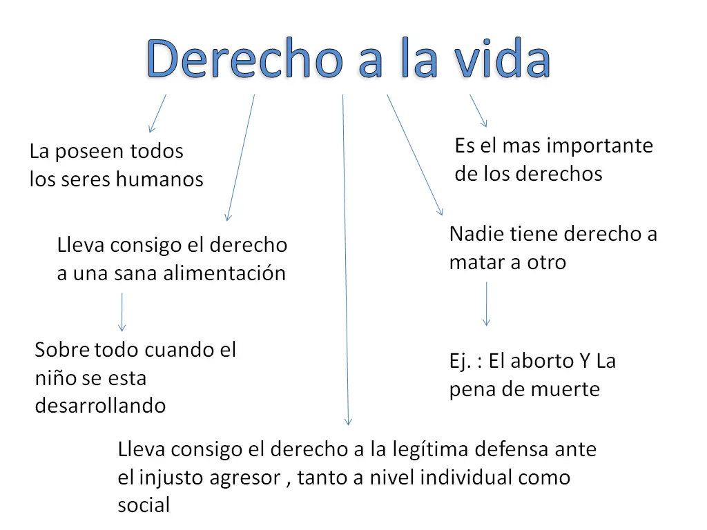 derecho a la vida resumen - Qué es el derecho a la vida en Argentina