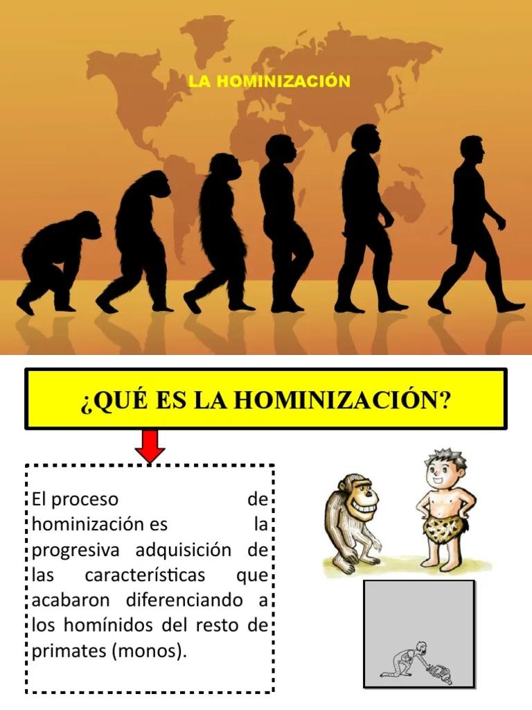 que es la hominizacion resumen - Qué es el proceso de hominización para niños