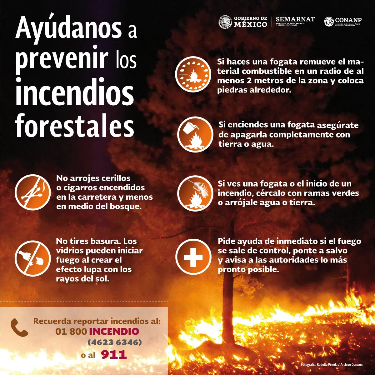 resumen de los incendios forestales - Qué es un incendio y cómo se produce