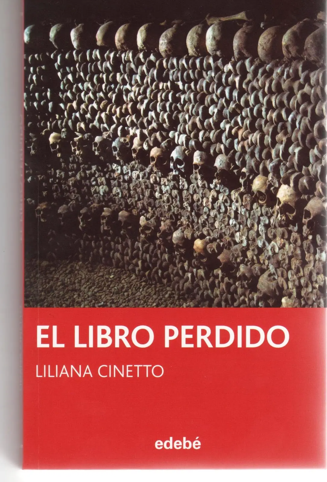 el libro perdido de liliana cinetto resumen - Que estudió Liliana Cinetto