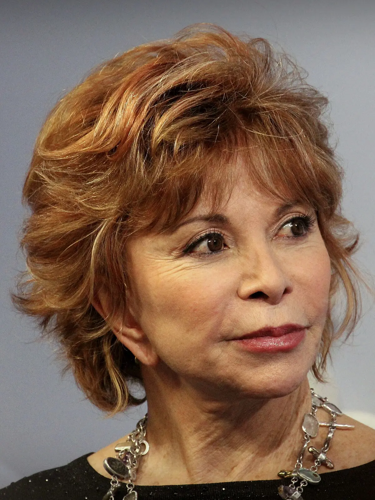la suma de los dias isabel allende resumen - Qué tipo de Literatura es la de Isabel Allende